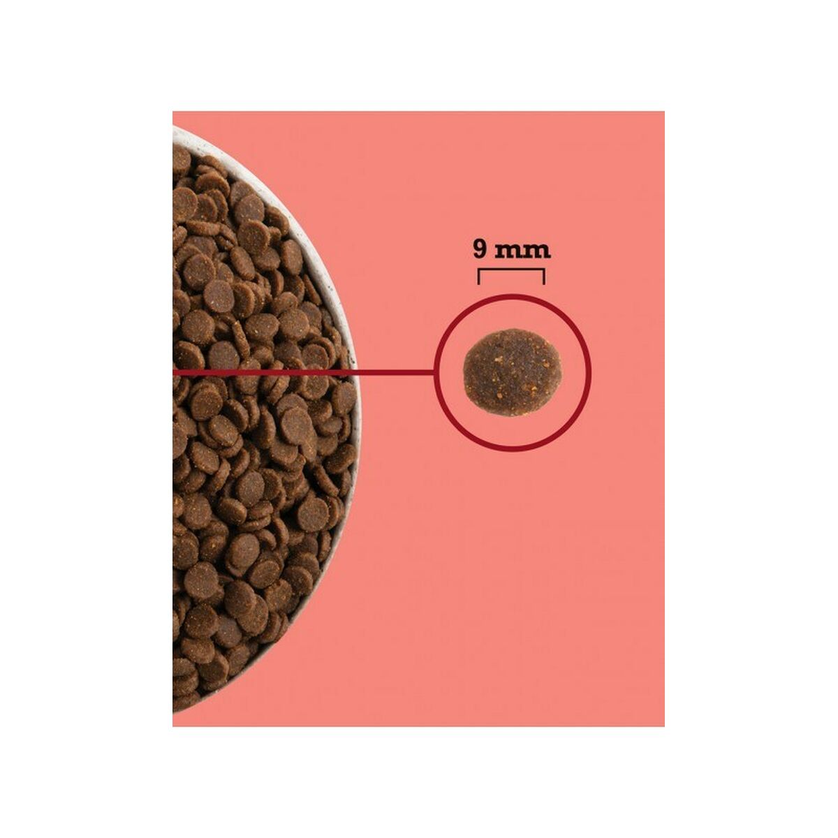 Cat food Acana-1