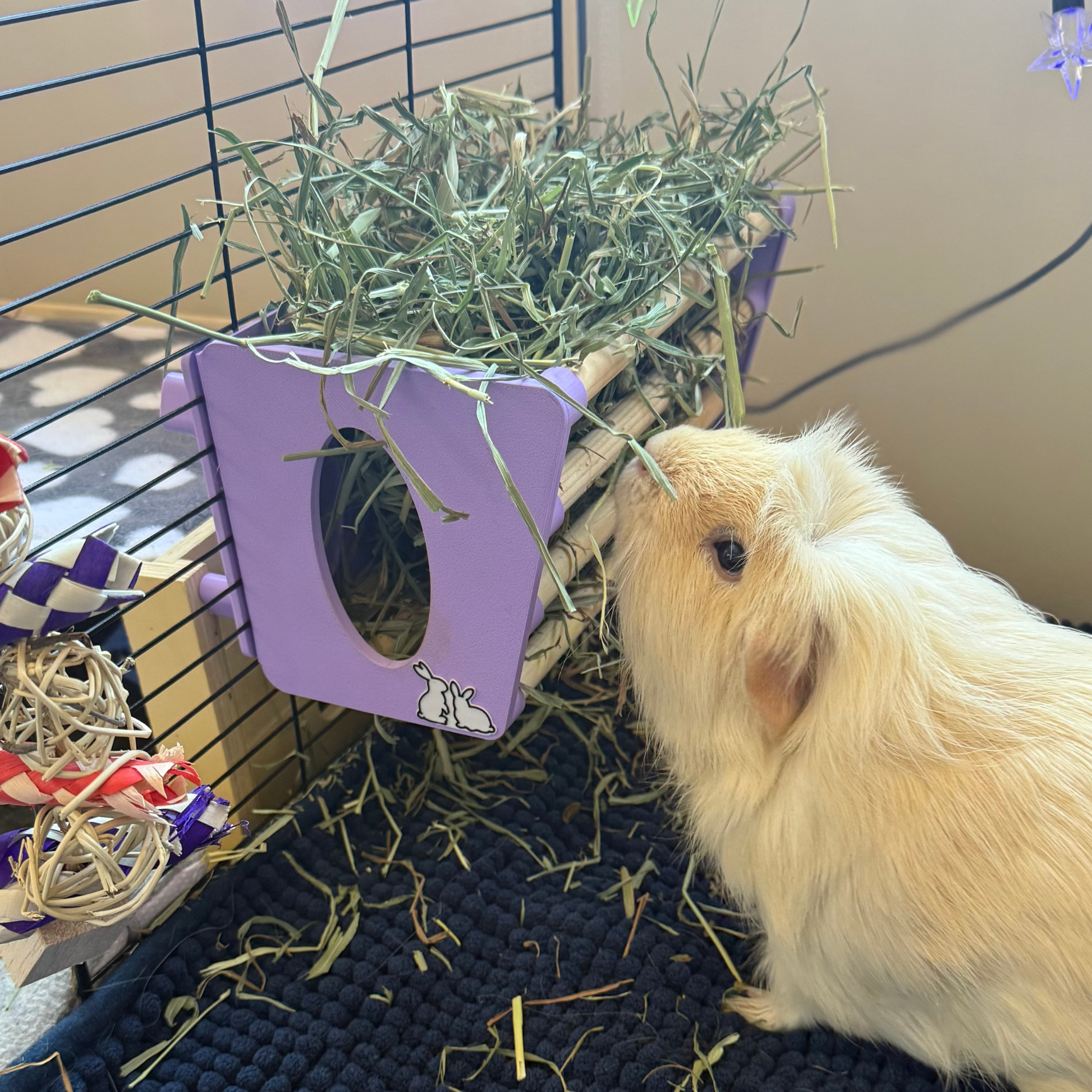 SINGLE Cage Mounted Hay Rack - White - TRADE-2