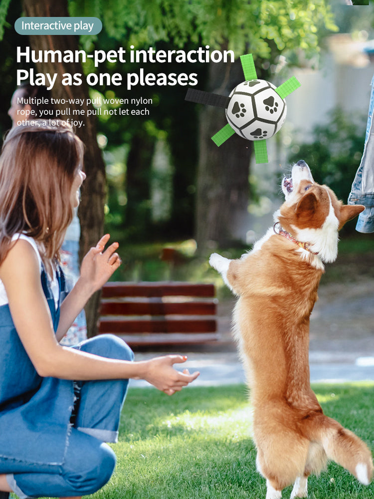 Exhilarating Soccer Ball Tug of War Toy-4